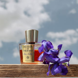 Iris Nobile (Eau de Parfum) - Acqua di Parma