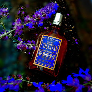 Lavande Poivre Noir / L'Occitan / Eau de L'Occitan - L'Occitane en Provence