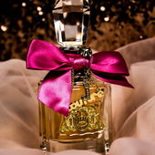 VLJ (by HolyBamboly)