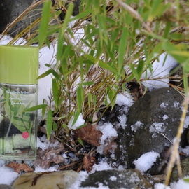Green Tea Bamboo - Elizabeth Arden