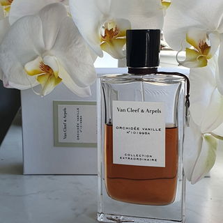 Orchidée Vanille by Van Cleef & Arpels