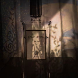 Into the night.  A dream like jasmine..