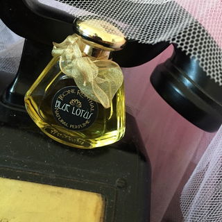 Blue Lotus - Teone Reinthal Natural Perfume