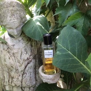 31 Rue Cambon (Eau de Parfum) von Chanel