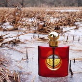 ❄️ Immer noch ein wunderbarer Begleiter bei Frost und Kälte ❄️ Lieben Dank für Eure schönen Kommentare 🥰 (by MadameLegras)