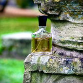 …📷🌍 Thank you. Danke schön. Merci beaucoup. Muchas gracias. Dōmo arigatō gozaimasu 💐… (von Kokusai)