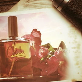 Charlie Gold (Eau de Toilette) - Revlon / Charles Revson