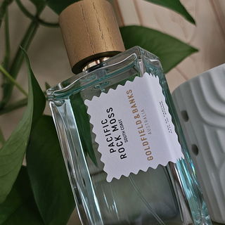 Pacific Rock Moss von Goldfield & Banks