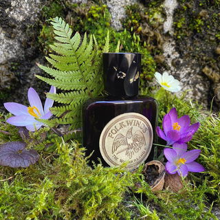 The Wonderland II: The Jabberwock von Folkwinds