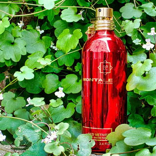 Red Vetiver / Red Vetyver - Montale