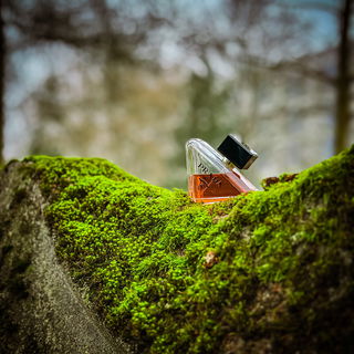 Paradoxe Intense - Prada