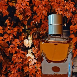 Jour d'Hermès (Eau de Parfum) - Hermès