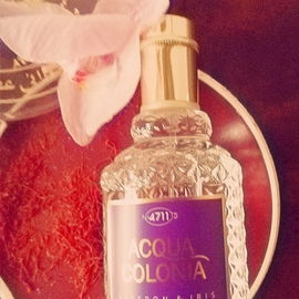 Saffron, I love you - but unfortunately, I can't find you in this scent... (misleading name)