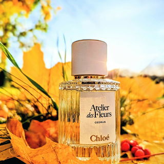 Cedrus (Eau de Parfum) von Chloé