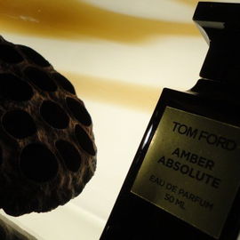Amber Absolute - Tom Ford
