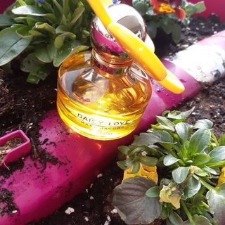 ...Daisy Love und ich wünschen Euch ein schönes, buntes Osterfest mit viel Sonnenschein. Liebe Grüße 🥰 🙋‍♀️ 💙 🐇🐣🐔🐥🐓