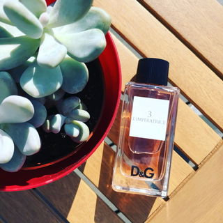 L'Impératrice von Dolce & Gabbana