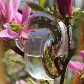 Omnia Crystalline L'Eau de Parfum - Bvlgari