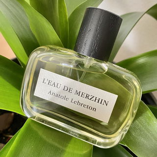 L'Eau de Merzhin - Anatole Lebreton
