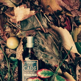 Eau de Cade (Eau de Toilette) - L'Occitane en Provence