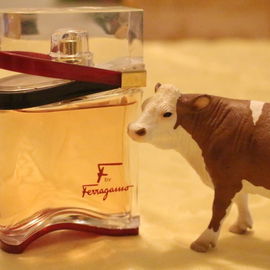 F by Ferragamo - Salvatore Ferragamo