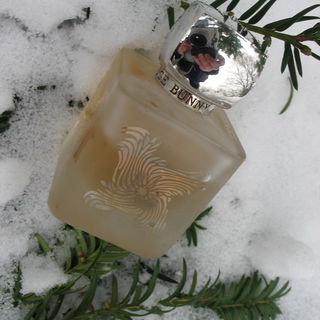 Tenera - Rouge Bunny Rouge