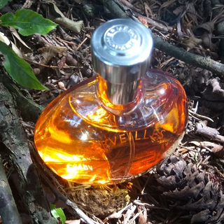 Eau des Merveilles (Eau de Toilette) von Hermès
