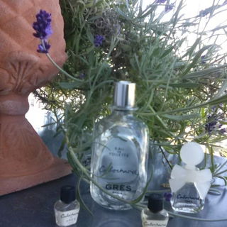 Cabochard (1959) (Eau de Toilette) by Grès