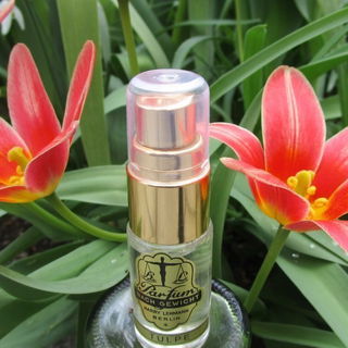 John Galliano (Eau de Toilette) - John Galliano