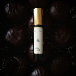 Black Tulip - Shay & Blue