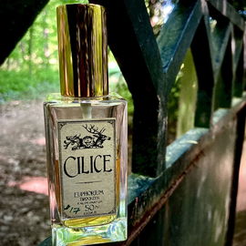 Cilice (Eau de Parfum) - Euphorium Brooklyn