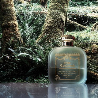 Città di Kyoto - Santa Maria Novella