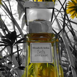von Klipsidra