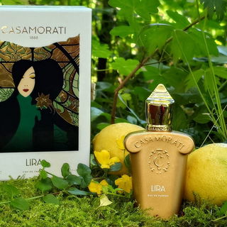 Casamorati - Lira (Eau de Parfum) by Xerjoff