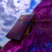 Willkommen in 5 D (by Irini)