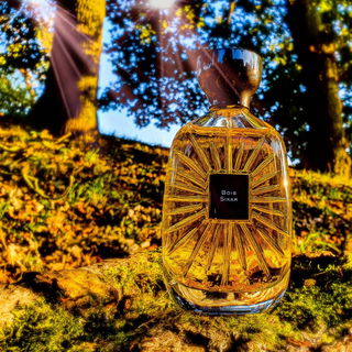 Autumnal woods in Beckenham Place Park. Taking my perfume bottle out for a walk in the park. And the dog alongside. The dog is secondary.