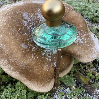 Cašmir - Fragrance Festival (Blue) - Chopard