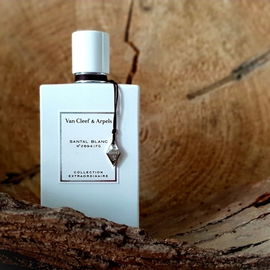 Santal Blanc - Van Cleef & Arpels