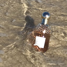Aqua Allegoria Orange Soleia - Guerlain