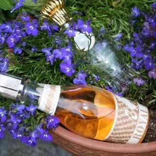 Royal Bain de Caron / Royal Bain de Champagne