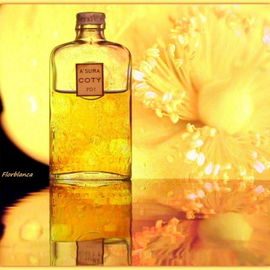 A'Suma (Parfum) - Coty