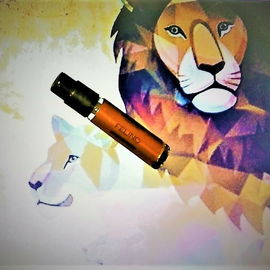 Felino - Carner