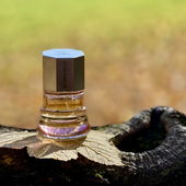 Hallo ihr Lieben 🍁 Ein kleiner Herbstgruß, aufgenommen am Morgen: sanftes Licht, kühle Luft, warme Farben. Hoffentlich hält der Herbst noch viele solcher Tage für uns bereit. Liebe Grüße 🍁🥰🙋‍♂️ (by Myfumi)