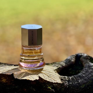 Hallo ihr Lieben 🍁 Ein kleiner Herbstgruß, aufgenommen am Morgen: sanftes Licht, kühle Luft, warme Farben. Hoffentlich hält der Herbst noch viele solcher Tage für uns bereit. Liebe Grüße 🍁🥰🙋♂️