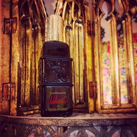 Habanita (1988) (Eau de Toilette) - Molinard