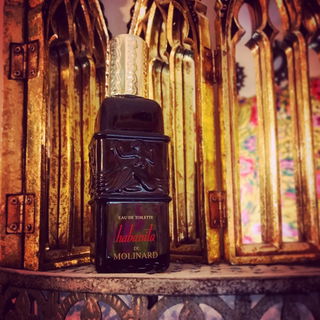 Habanita (1988) (Eau de Toilette) - Molinard