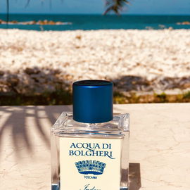Acqua di Bolgheri - Indaco - Dr. Taffi