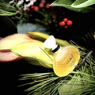 Azzaro 9 (Eau de Parfum) - Azzaro