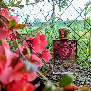 Scarlet Rouge von Moresque