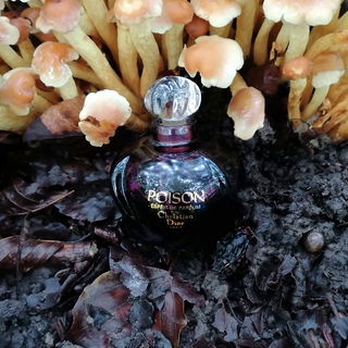 Elixir des Merveilles - Hermès